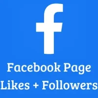Facebook Page Likes + Followers